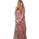 Brown Bamber Satin Aari Salma Work Poshak Set (Unstitched) | Pure Georgette Odhna | Jaipurio Ethnic Wear